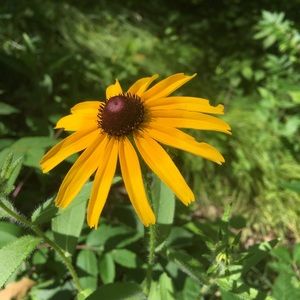 Meet your Posher, Lydia